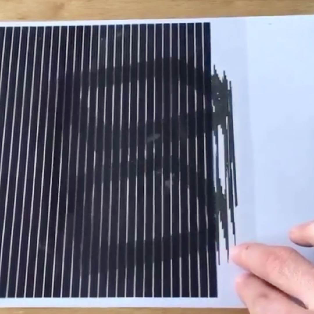 Scanimation