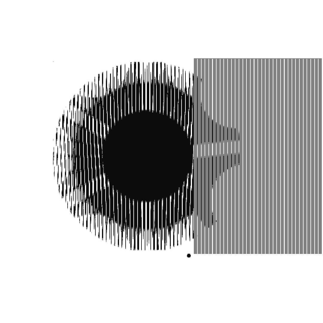 Scanimation