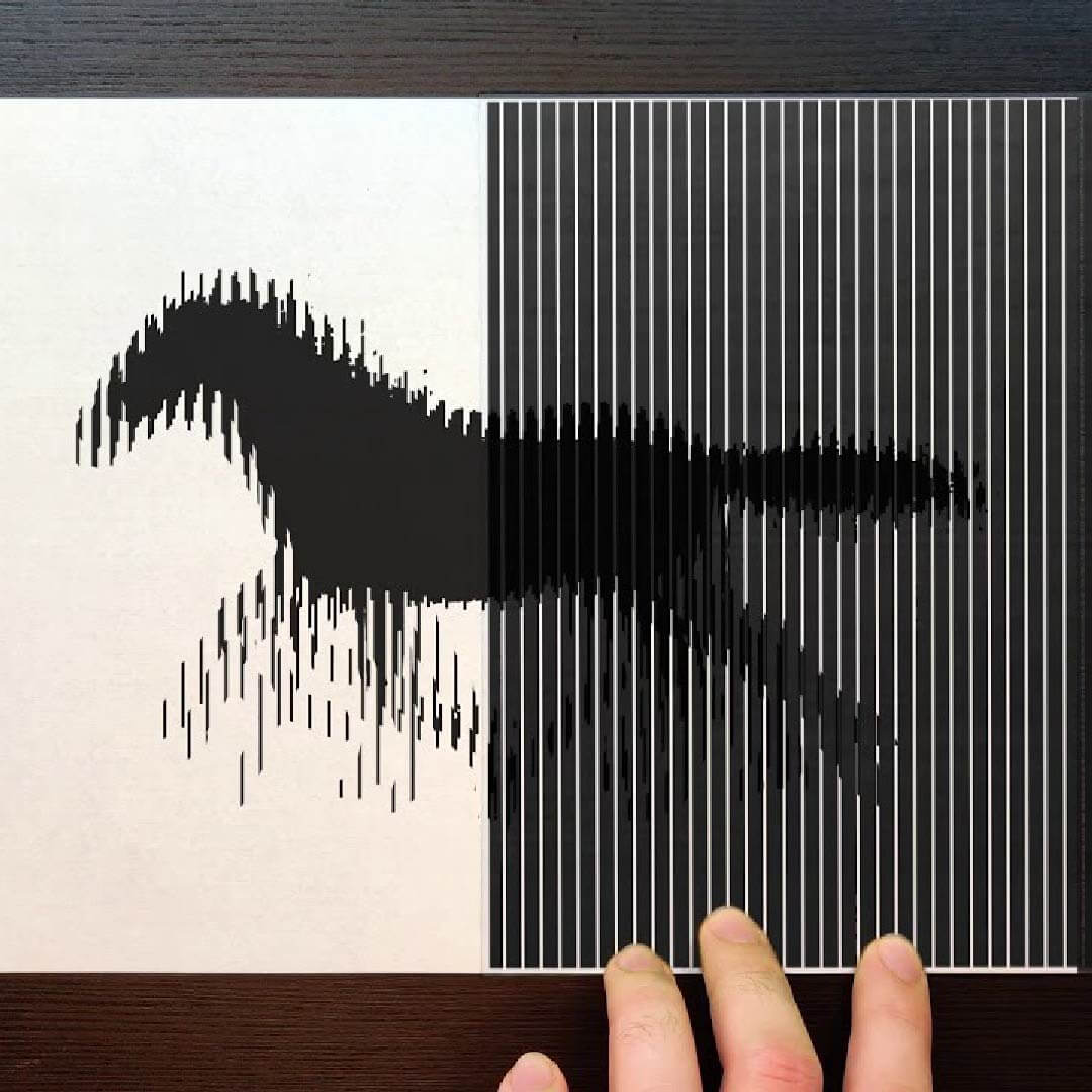 Scanimation