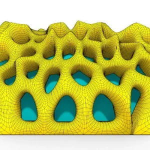 Voronoi Shell resource preview