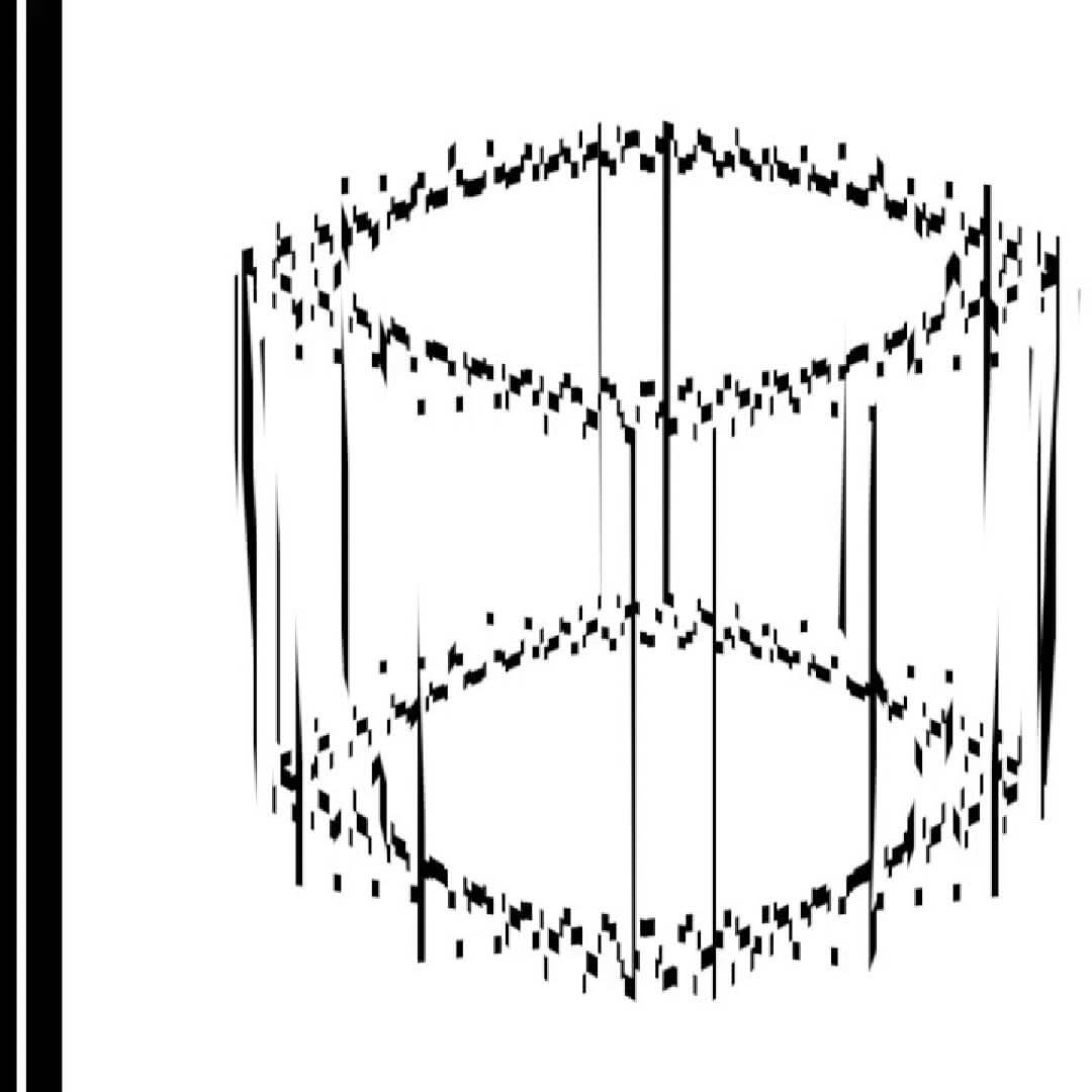 Scanimation