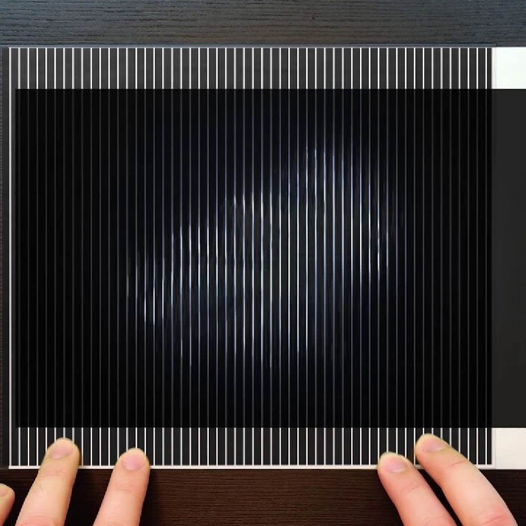 Scanimation
