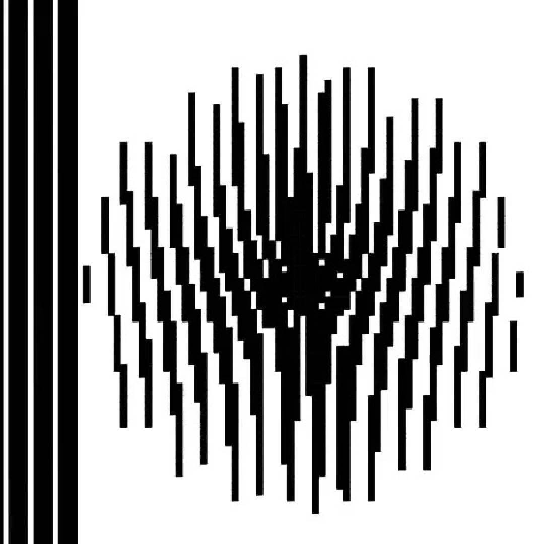 Scanimation