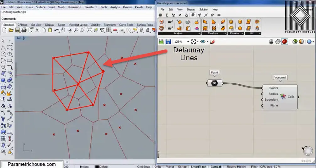 Delaunay lines over Voronoi cells