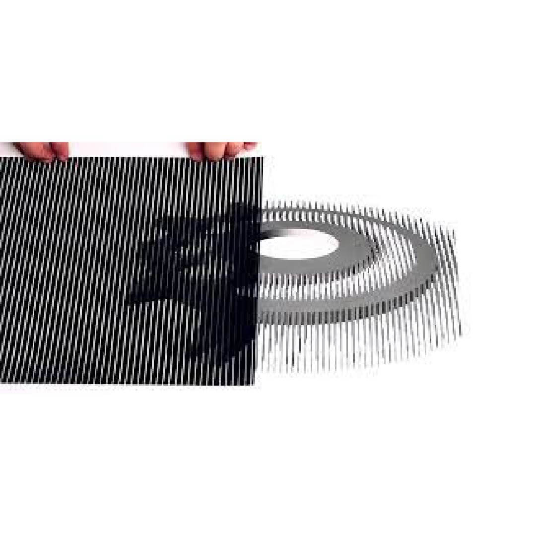 Scanimation